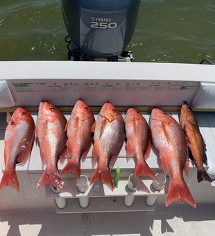 Gulf adventures await – Reds fishing Pensacola